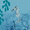 Seahorse : Out and About