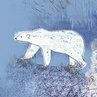 Polar Bear Out and About